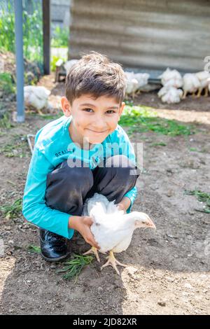 Bio Hühner auf einem Bauernhof ein Kind. Stockfoto