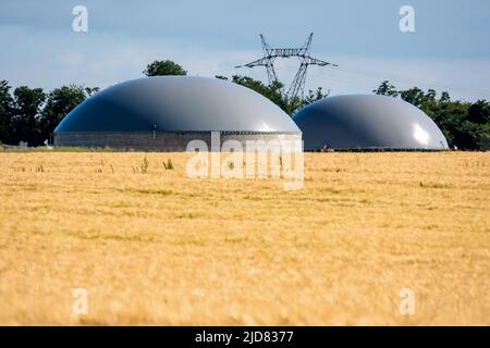 Gesamtansicht einer Biogasanlage mit zwei Fermentern in einem Weizenfeld und einem Strompylon in der Ferne auf dem Land. Stockfoto