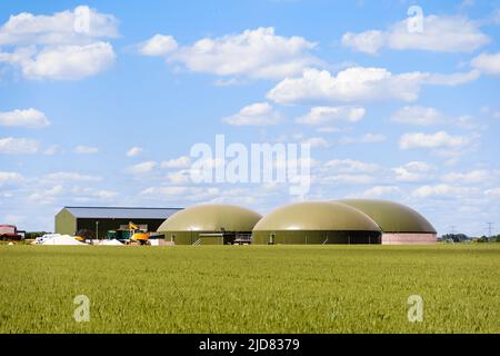 Gesamtansicht einer Biogasanlage mit drei Fermentern in einem grünen Weizenfeld auf dem Land unter einem blauen Himmel mit weißen Wolken. Stockfoto