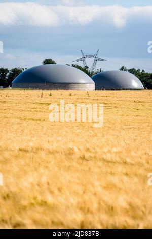 Gesamtansicht einer Biogasanlage mit zwei Fermentern in einem Weizenfeld und einem Strompylon in der Ferne auf dem Land. Stockfoto