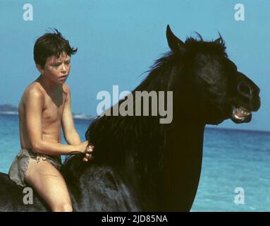 KELLY RENO, DER SCHWARZE HENGST, 1979, Stockfoto