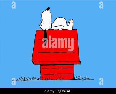 SNOOPY, BON VOYAGE CHARLIE BROWN (UND NICHT WIEDERKOMMEN!!), 1980, Stockfoto