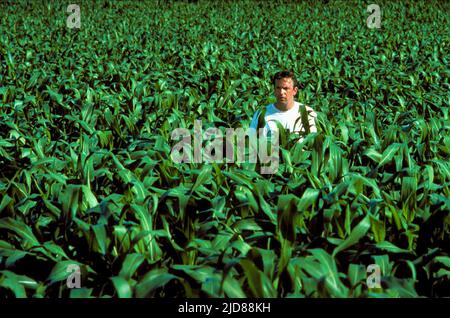 KEVIN COSTNER, FIELD OF DREAMS, 1989, Stockfoto