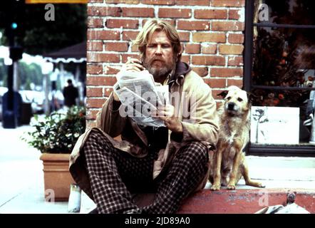 NOLTE, HUND, AUF UND AB IN BEVERLY HILLS, 1986, Stockfoto