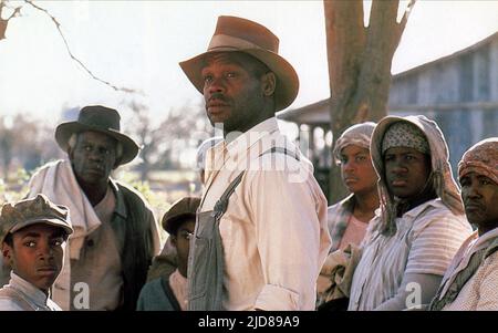 DANNY GLOVER, ORTE IM HERZEN, 1984, Stockfoto