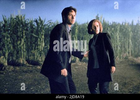 DUCHOVNY und Anderson, der X-Dateien, 1998 Stockfoto