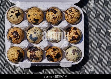 Draufsicht auf Schachtel mit frischen Wachteleiern mit gesprenkelten Muscheln. Stockfoto