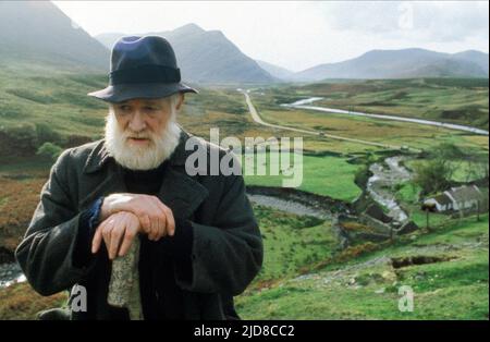 RICHARD HARRIS, DAS FELD, 1990 Stockfoto