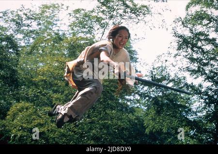 ZHANG ZIYI, VERSTECKTER DRACHE DES KAUERNDEN TIGERS, 2000, Stockfoto