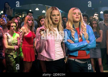 WAYANS, WAYANS, WEISSE KÜKEN, 2004, Stockfoto