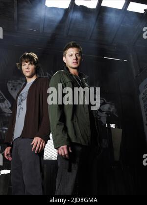 PADALECKI, ACKLES, SUPERNATURAL : SAISON 2, 2006, Stockfoto