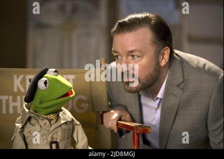 KERMIT,GERVAIS, MUPPETS MOST WANTED, 2014, Stockfoto