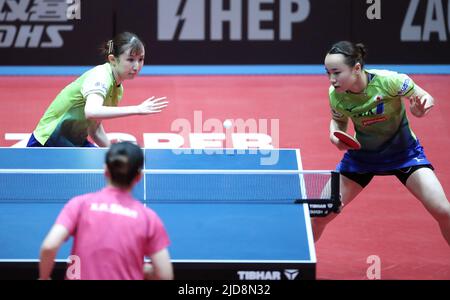 Zagreb, Kroatien. 19.. Juni 2022. ZAGREB, KROATIEN - 19. JUNI: ITO Mima und Hina Hayata aus Japan treten beim WTT Contender Zagreb 2022 Women's Doubles Final gegen Sabine Winter und Xiaona Shan aus Deutschland am 19. Juni 2022 in der Dom Sportova Hall in Zagreb, Kroatien, an. Foto: Sanjin Strukic/PIXSELL Credit: Pixsell Foto- und Videoagentur/Alamy Live News Stockfoto