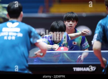 Zagreb, Kroatien. 19.. Juni 2022. ZAGREB, KROATIEN - 19. JUNI: UDA Yukiya und TOGAMI Shunsuke aus Japan treten beim WTT Contender Zagreb 2022 Men's Doubles Final gegen JANG Woojin und CHO Daeseong aus Korea am 19. Juni 2022 in der Dom Sportova Hall in Zagreb, Kroatien, gegeneinander an. Foto: Sanjin Strukic/PIXSELL Credit: Pixsell Foto- und Videoagentur/Alamy Live News Stockfoto
