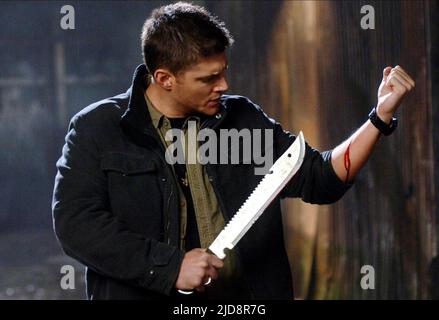 JENSEN ACKLES, SUPERNATURAL : SAISON 3, 2007, Stockfoto