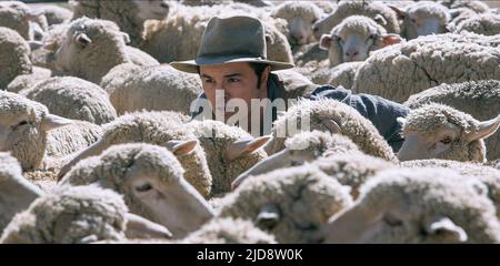 SETH MACFARLANE, EINE MILLION WEGE, IM WESTEN ZU STERBEN, 2014, Stockfoto