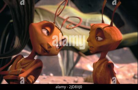 BALA, Z, ANTZ, 1998, Stockfoto