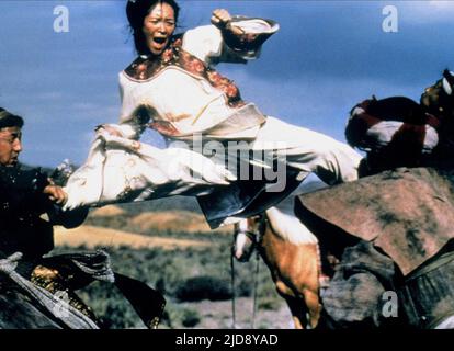 ZHANG ZIYI, VERSTECKTER DRACHE DES KAUERNDEN TIGERS, 2000, Stockfoto