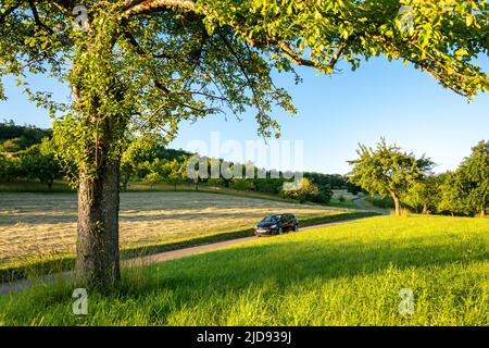 Auto auf einer Landstraße in schöner grüner Sommerlandschaft bei Sonnenuntergang Stockfoto