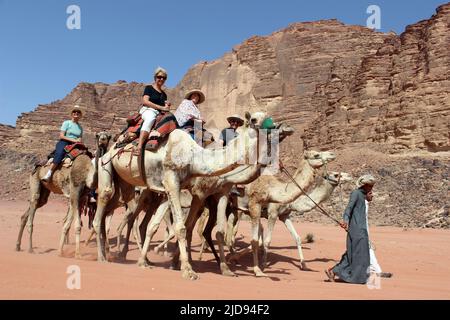 Touristen Reiten Kamele in Wadi Rum, Jordanien Stockfoto