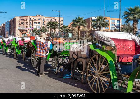 Pferdekutschen warten in der Schlange für Touristen - Taxi und Transport - Marrakesch, Marokko Stockfoto