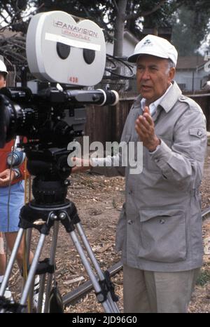 CARL REINER, BERT RIGBY YOU'RE A NARR, 1989, Stockfoto