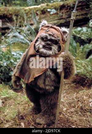 EWOK, STAR WARS: EPISODE VI - RÜCKKEHR DER JEDI, 1983, Stockfoto