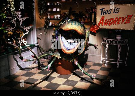 AUDREY II, KLEINER HORRORLADEN, 1986, Stockfoto