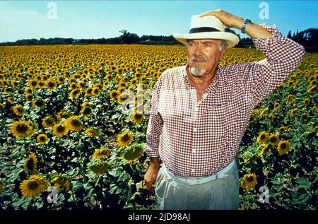 ROBERT ALTMAN MIT SONNENBLUMEN, VINCENT UND THEO, 1990, Stockfoto