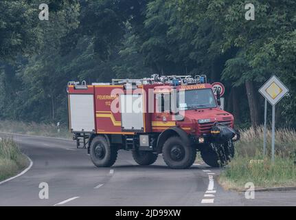 Treuenbrietzen, Deutschland. 19.. Juni 2022. Ein Einsatzfahrzeug der Feuerwehr ist auf dem Weg zum Waldbrand im Landkreis Frohnsdorf. Zunehmende Winde verschlechterten am Sonntag die Situation beim Waldbrand, der am 17.06.2022 ausgebrochen war. Quelle: Paul Zinken/dpa/Alamy Live News Stockfoto