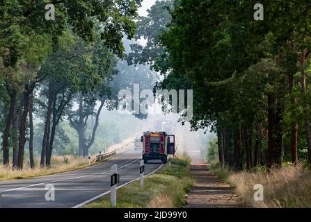 Treuenbrietzen, Deutschland. 19.. Juni 2022. Einsatzfahrzeuge der Feuerwehr sind beim Waldbrand im Landkreis Frohnsdorf im Einsatz. Zunehmende Winde verschlechterten am Sonntag die Situation beim Waldbrand, der am 17.06.2022 ausgebrochen war. Quelle: Paul Zinken/dpa/Alamy Live News Stockfoto