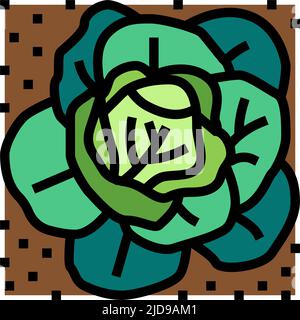 Pflanzenkohl wächst auf Ackerland Farbe Symbol Vektor Illustration Stock Vektor