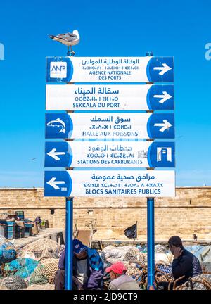 Wegweiser zum Hafen von Essaouira in Französisch, Arabisch und Berber, Marokko Stockfoto