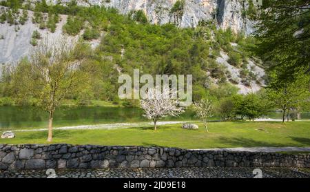 Naturschutzgebiet Nembia. Naturalistische Oase des Nembia-Sees im westlichen Trentino-Südtirol - Naturpark Adamello-Brenta - Norditalien - Süd-EU Stockfoto