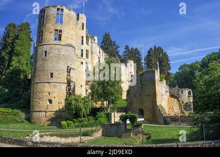 Ruine von Burg Beaufort, Beaufort, Kanton Echternach, Großherzogtum Luxemburg, Europa Stockfoto