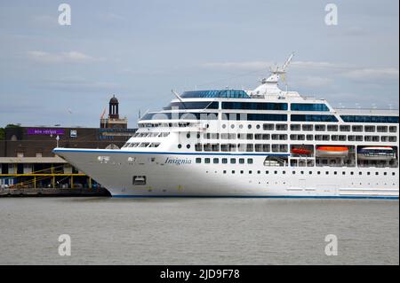 19/06/2022 Gravesend UK die Flusskreuzfahrt auf der Themse geht über das Wochenende weiter, wobei Viking Venus von Greenwich aus segelt und ein Vatertagshafen Ca Stockfoto