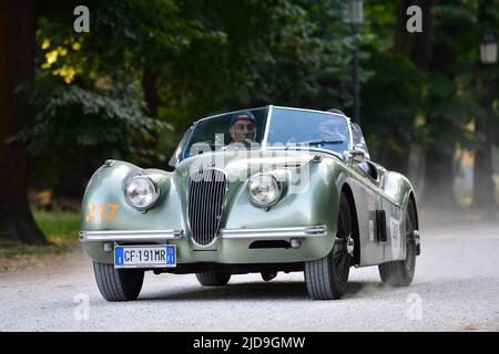 Parma, Italien. 17.. Juni 2022. NÂ. 217 ALBERTO PERAGNOLI CARLO PERAGNOLI (ITA) JAGUAR XK120 OTS ROADSTER 1952 Ort : Parma im Jahr 1000miglia, Historische Motoren in Parma, Italien, Juni 17 2022 Quelle: Unabhängige Fotoagentur/Alamy Live News Stockfoto