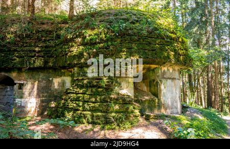 Alter überwucherter Bunker in einem österreichischen Wald Stockfoto