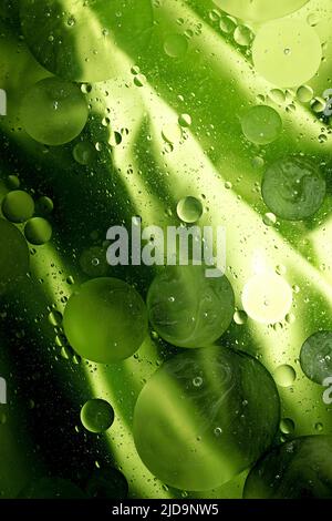 Makrofoto von Wassertropfen in Öl mit einem grünen abstrakten Hintergrund Stockfoto