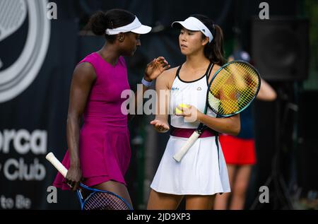 Asia Muhammad of the United States & Ena Shibahara of Japan in Aktion während der zweiten Doppelrunde beim WTA 500 Tennisturnier 2022 bett1Open - Foto: Rob Prange/DPPI/LiveMedia Stockfoto