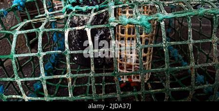 Eine unglaubliche Menge Müll landet nach menschlichen Aktivitäten im Wasser, und dies ist ein Foto des Mülls, der aus dem Atlantischen Ozean gefangen wird Stockfoto