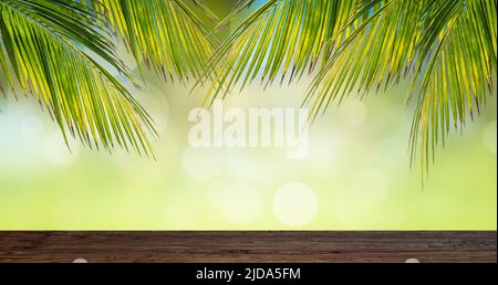 Grüner tropischer Hintergrund mit Palmenzweigen. Modell für Produktpräsentation und Werbung. Stockfoto