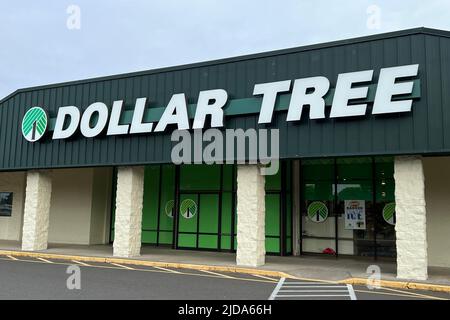 Ein Dollar Tree Laden, Donnerstag, 8. Juni 2022, in Springfield, Erz. Stockfoto