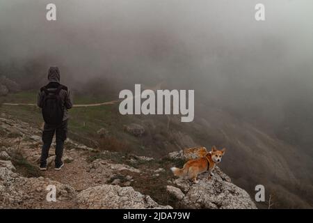 Ein Mann und ein Pembroke Welsh Corgi klettern über die Wolken hoch in den Bergen Stockfoto