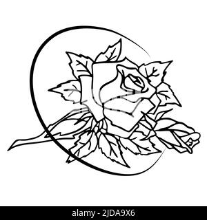 Schwarz-weiße grafische Zeichnung einer Rose, Konturblume, Anti-Stress-Malbuch, Tattoo Stock Vektor