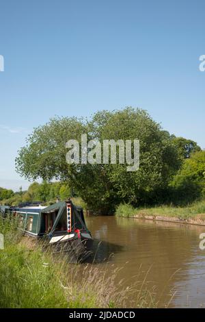 Ein Narrowboot, das am Schleppturm am Midlewich-Zweig des Shropshire Union-Kanals festgemacht wird Stockfoto