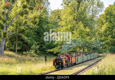 Miniatur-Dampfzug im Grossen Garten, bekannt als Parkeisenbahn Dresden, Sachsen, Deutschland Stockfoto