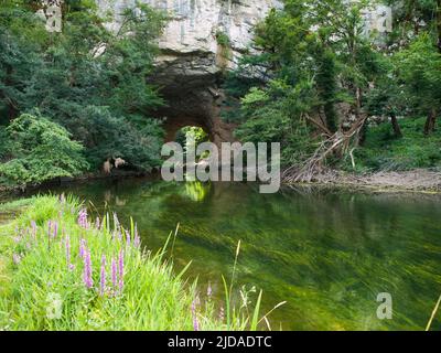 Große Naturbrücke in Rakov Skocjan Stockfoto