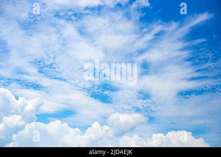 Weiße Federn und Kumuluswolken gegen einen dunkelblauen Himmel. Hintergrund, Vorlage für Text. Stockfoto