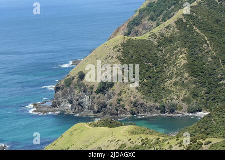 Die Küstenlinie der Bay of Islands, Northland, Neuseeland Stockfoto
